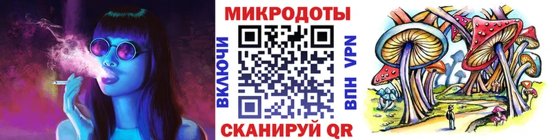 купить наркотик  Шахунья  Галлюциногенные грибы мицелий 