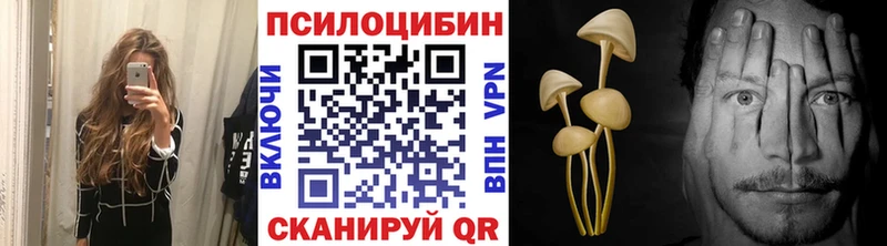 Псилоцибиновые грибы Cubensis Шахунья