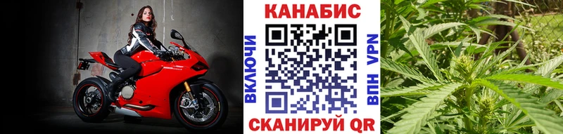 Марихуана AK-47  где найти   Шахунья 